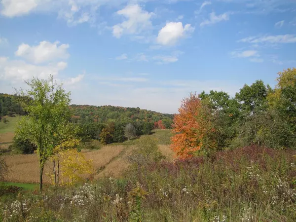 Spring Green, WI 54588,65.61 ac Paulus Road