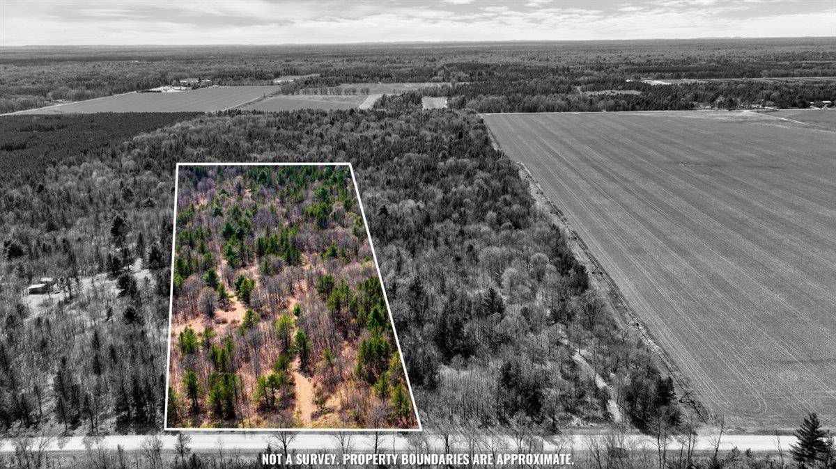 19.93 Acres 16th Avenue, Necedah, WI 54646