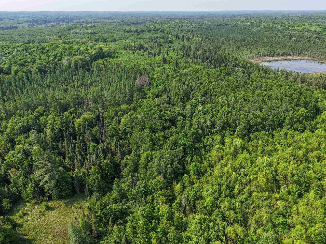 121.49 Acres Forest Road 602, Butternut, WI 54514