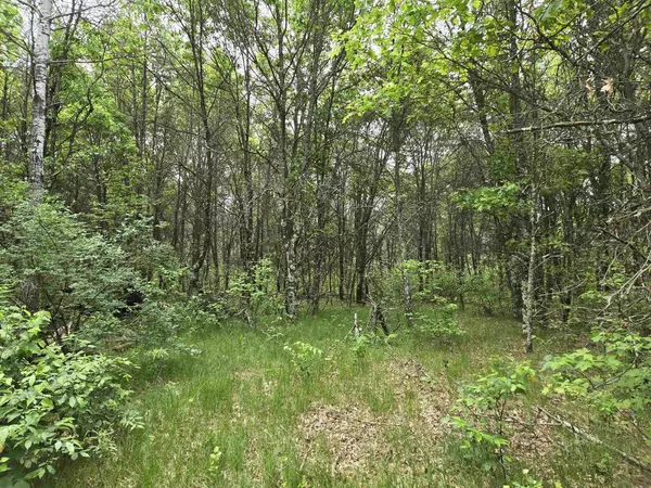 Arkdale, WI 54613,1050 W 13th Dr. PV