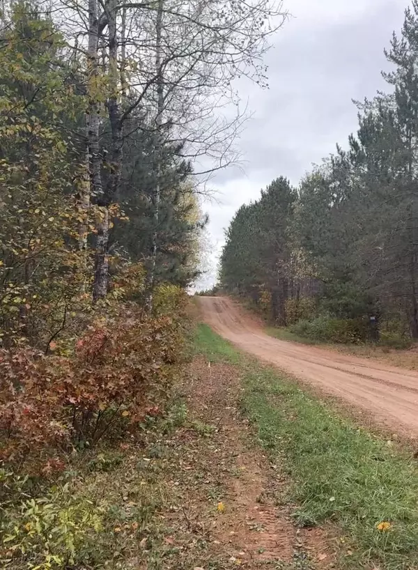 Tomahawk, WI 54487,14 Wood Road