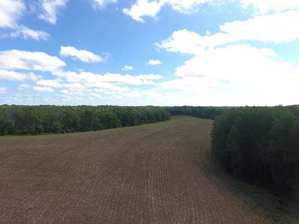 Gays Mills, WI 54631,46113 Sand Creek Road
