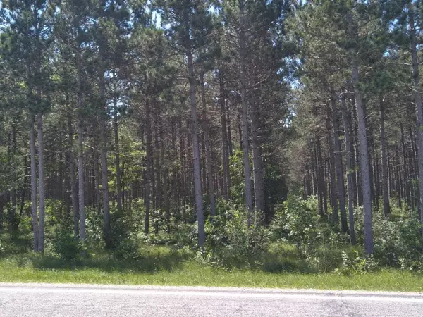 Nekoosa, WI 54457,9.17 AC County D Road