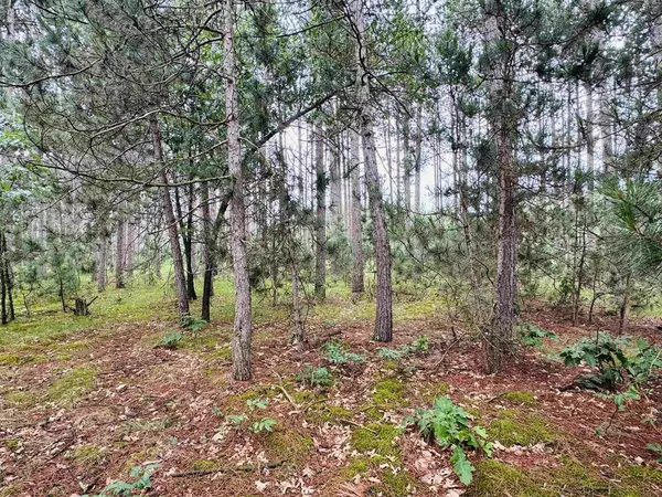 Nekoosa, WI 54457,1385 Sawgrass Drive