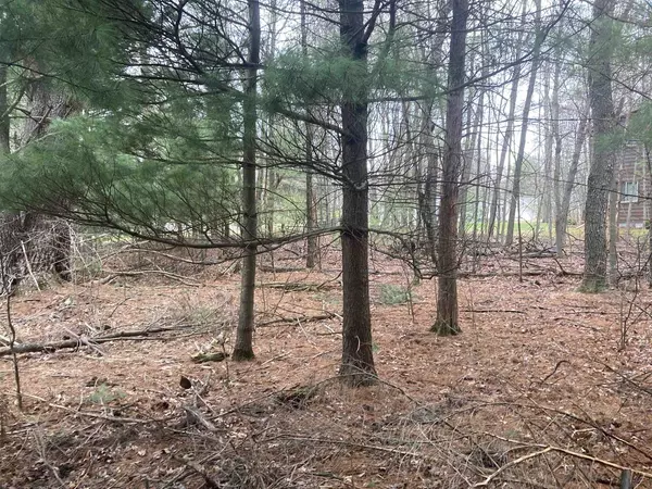 Wisconsin Dells, WI 53965,252 Berry Lane