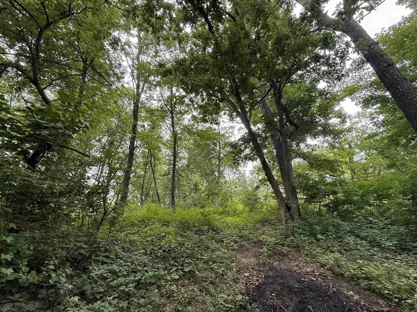 Poynette, WI 53955,Lot 2 St Lawrence Bluff Road