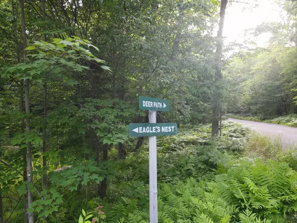 Phelps, WI 54554,Lot 1 Eagles Nest Lane