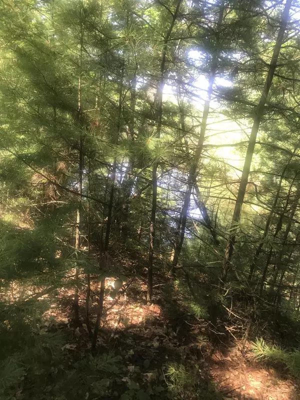 Peshtigo, WI 54157,67.9 Ac Fawn Lane