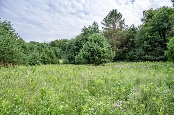 Oxford, WI 53952,4.75 Ac Fish Court