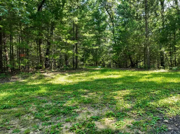 New Lisbon, WI 53950,W5425 Circle Drive
