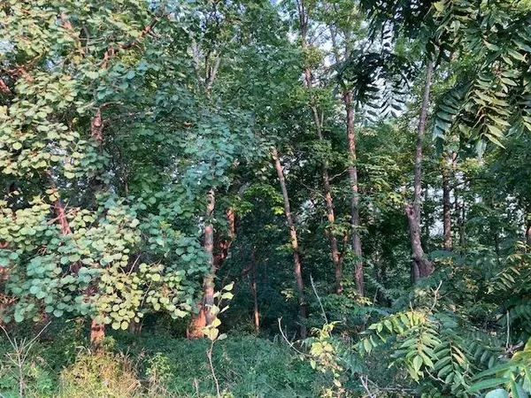 New Glarus, WI 53574,Lot 2 CSM 4904 Legler Valley Road