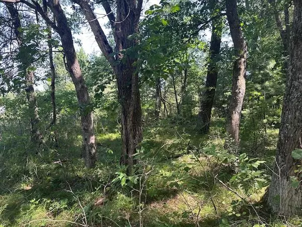 Arkdale, WI 54613,lot 13 W 19TH Lane