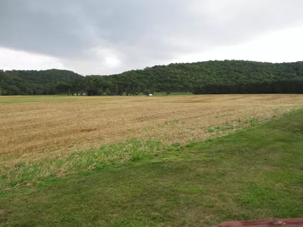 Bagley, WI 53801,295 Willow Lane