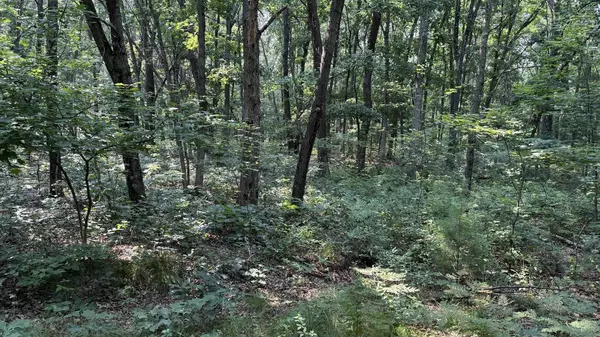 Lyndon Station, WI 53944,3.65 AC W Limits Road