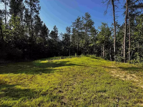 Lyndon Station, WI 53944,Lots 13 & 14 Bass Lake Lane