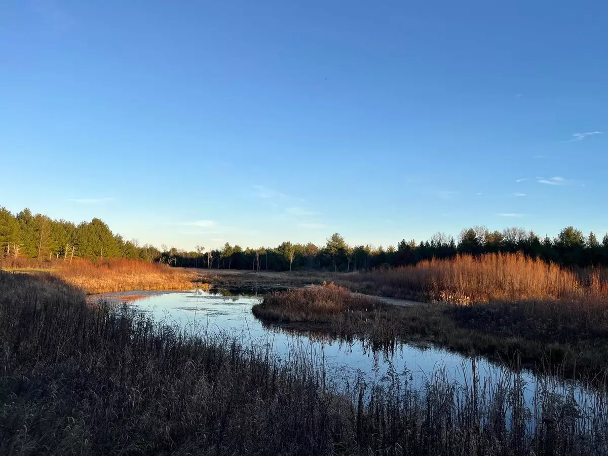 Adams, WI 53910,33 Acres 10th Avenue