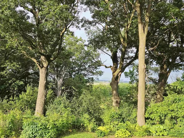 Viroqua, WI 54665,Vacant Lot Sandy Oak Drive