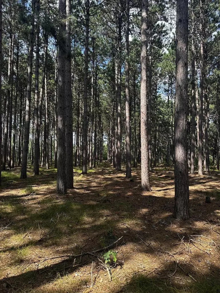 Hancock, WI 54943,676A Badger Drive