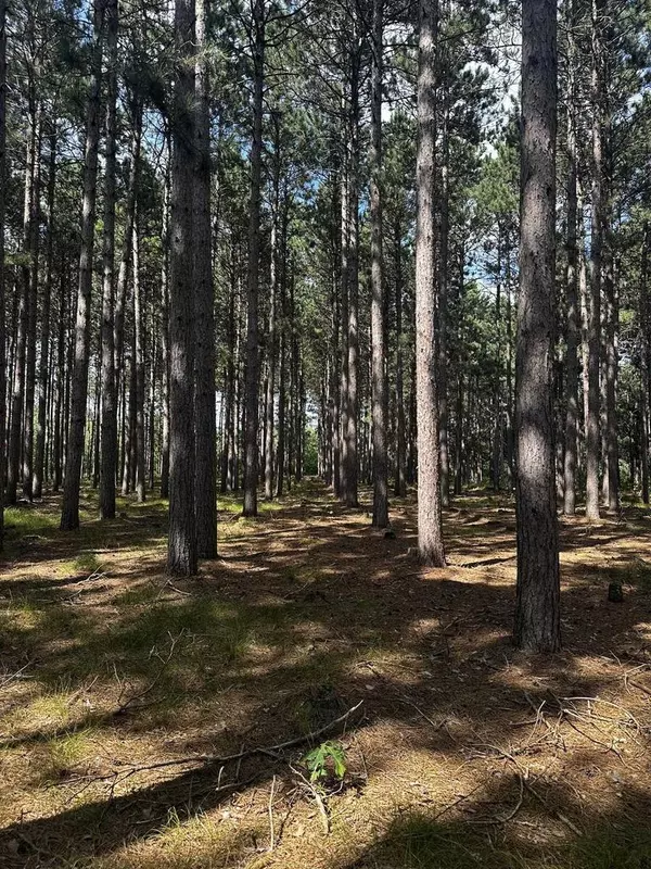 676A Badger Drive,  Hancock,  WI 54943