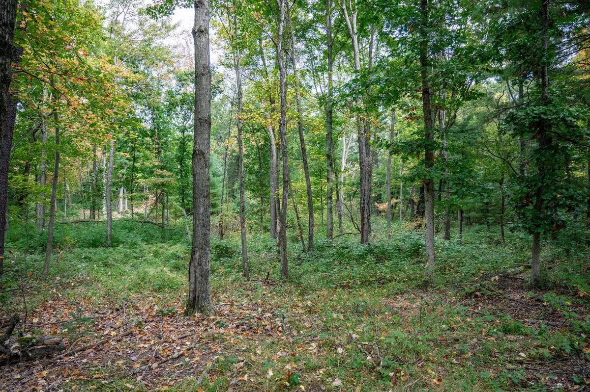 Wisconsin Dells, WI 53965,W1838 Juneau Woods Road