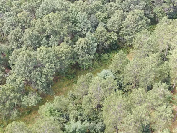 Arkdale, WI 54613,80 AC 13th Ave N Acres