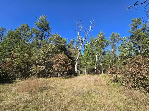 Arkdale, WI 54613,3.35 Acres Brown Deer Avenue