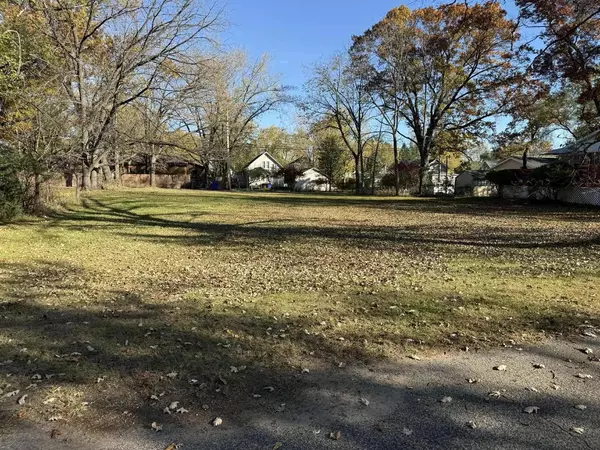 Adams, WI 53910,Lt 19 & 20 N Elm Street