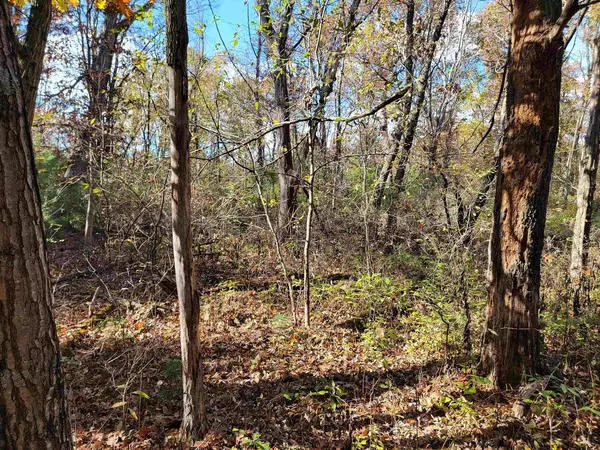 Montello, WI 53949,W1782 Fawn Court