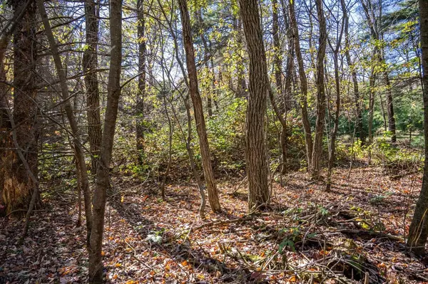 Mauston, WI 53948,Lot 1 55th Street