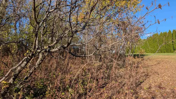 Markesan, WI 53946,L16 Oak Road