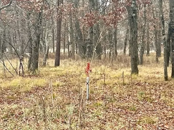 Nekoosa, WI 54457,389 Woodbridge Way