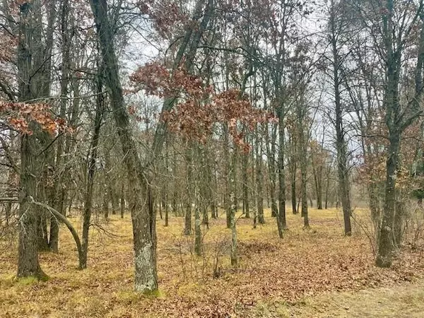 Nekoosa, WI 54457,389 Woodbridge Way