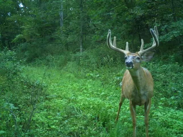 Muscoda, WI 53573,32974 Potter Lane