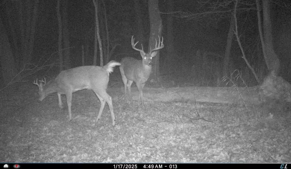 New Lisbon, WI 53950,N8510 Fish Road