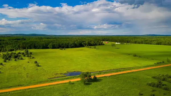 40 Acres AMELIA ROAD, Pittsville, WI 54466