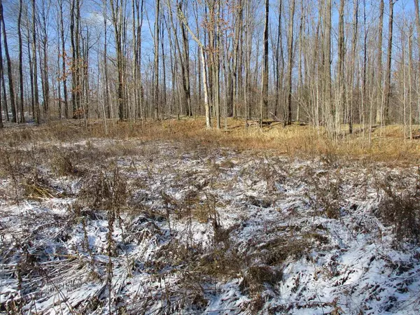 Parcel 15 FOREST EDGE ROAD, Westboro, WI 54490
