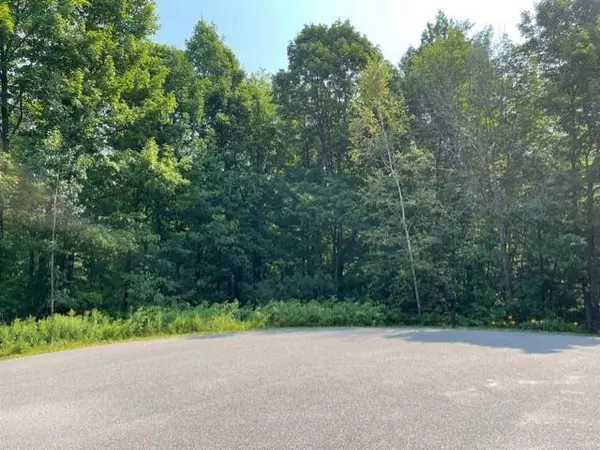 Lot 16 WOOD DUCK LANE, Merrill, WI 54452