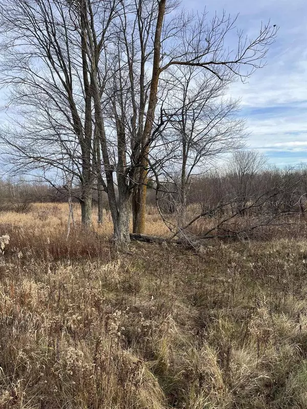 Lublin, WI 54447,0000 8TH AVENUE