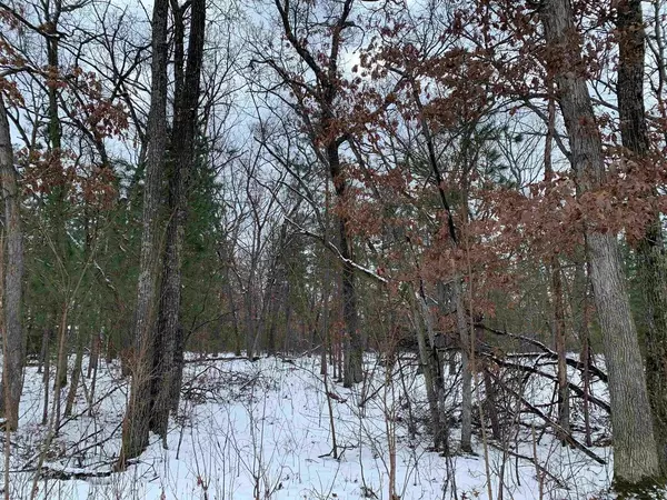 W2511 54TH STREET, Lyndon Station, WI 53944