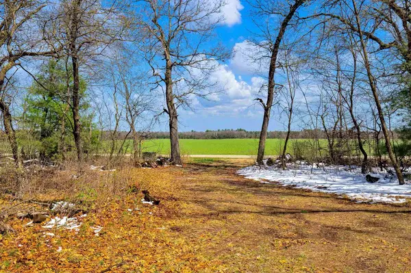 Grand Marsh, WI 53952,5 Acres 10TH LANE