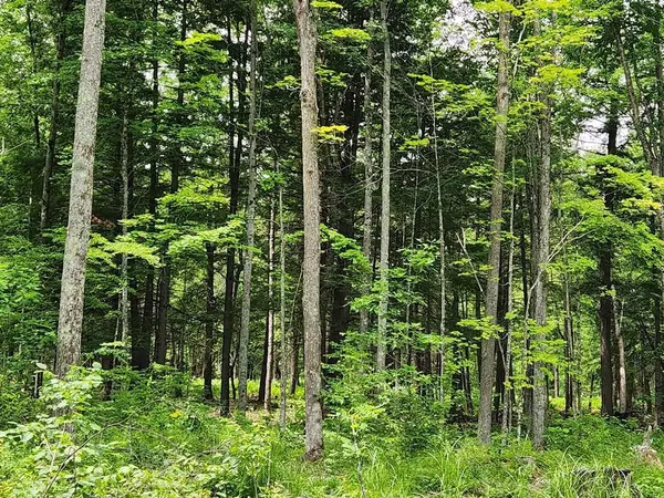 NO NAME ROAD #NE1/4 NE1/4 + SE1/4, Merrill, WI 54452