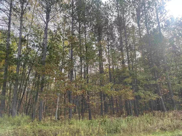 Merrill, WI 54452,ON STATE HIGHWAY 107