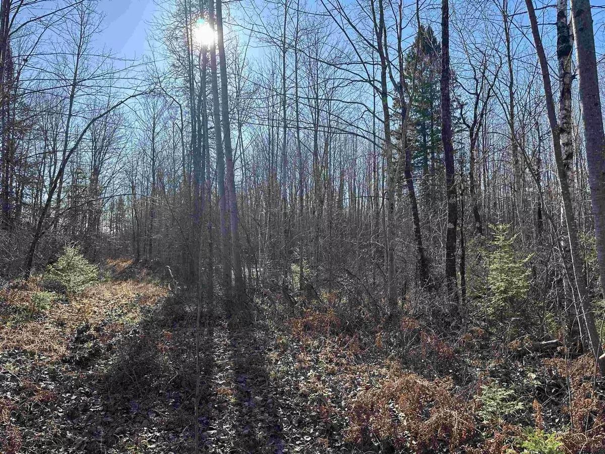 Merrill, WI 54452,0 FORKS ROAD