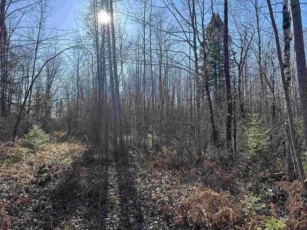 0 FORKS ROAD, Merrill, WI 54452