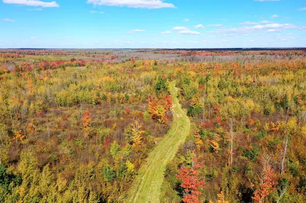 +/-159 Acres COUNTY ROAD I, Ogema, WI 54459