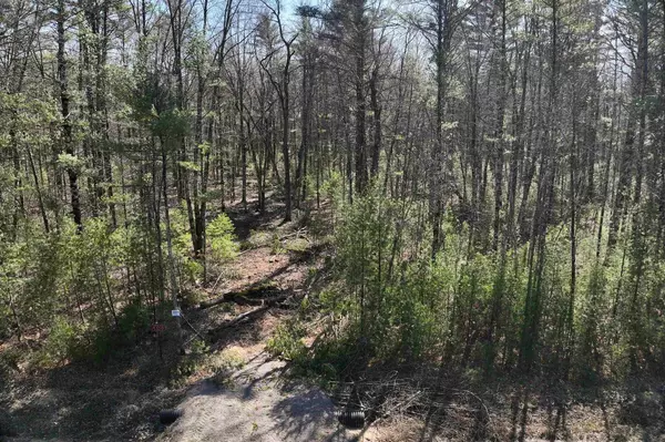 Merrillan, WI 54754,W8725 BLUEBIRD DRIVE