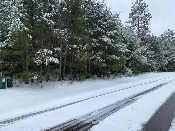 Woodruff, WI 54568,lot 27 DORIS DRIVE