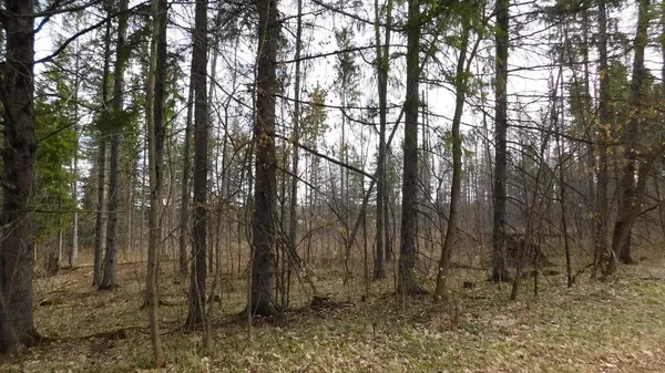 Merrill, WI 54452,000 MINK ROAD #Highland Ave