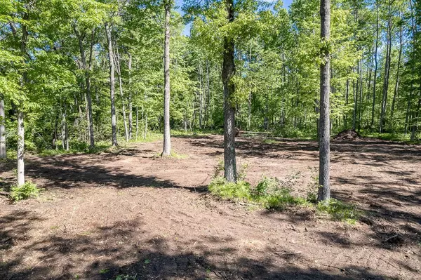 Mosinee, WI 54455,Lot 4 JOHNS LANE