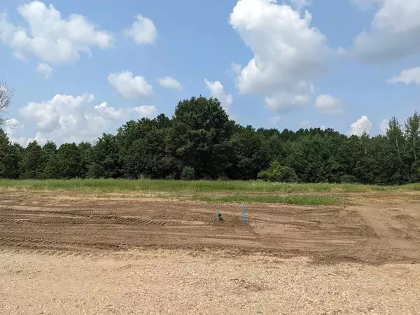 Plover, WI 54467,770 Torrey Pines Court #Lot #81